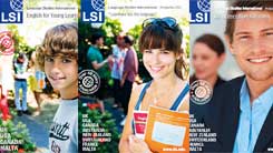 Catálogos LSI