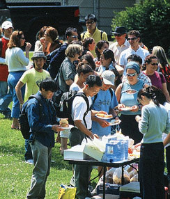 Van leisure picnicinpark