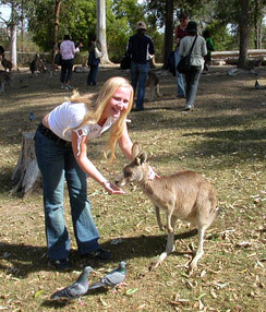 Bne leisure girlfeedingakangaroo