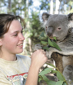 Bne leisure girlfeedingakoala