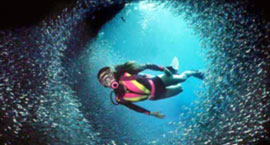 在地中海潜水
