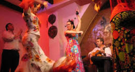 Flamenco Show