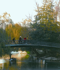 Cam location bridgeovertherivercam