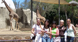حديقة حيوان سان دييجو