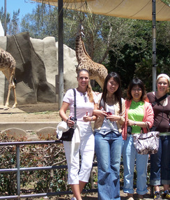 SD leisure sdzoo