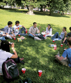 Bos leisure picnicinpark