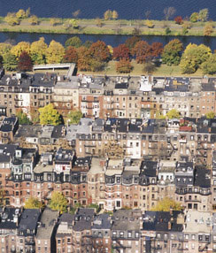 Bos location roofs