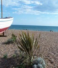 Corsi d'inglese a Brighton | apprendere Inglese a Brighton | Scuola di lingue Brighton