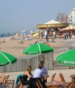 Corsi d'inglese a Brighton | apprendere Inglese a Brighton | Scuola di lingue Brighton