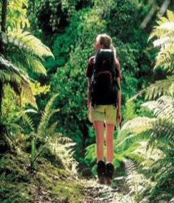 Englisch-Kurs in Australien | Englisch lernen in Brisbane | Sprachschule Brisbane