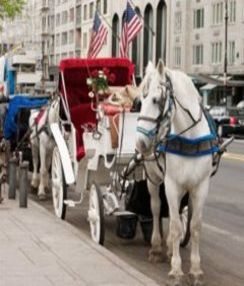 Englisch-Kurs in den USA | Englisch lernen in New York | Sprachschule New York