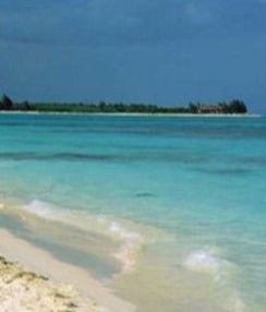 Corsi di spagnolo a Playa del Carmen | apprendere Spagnolo a Playa del Carmen | Scuola di lingue Playa del Carmen