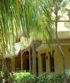 在墨西哥学习西班牙语 课程 | 在墨西哥学习 西班牙语 | Language School 卡曼海滩