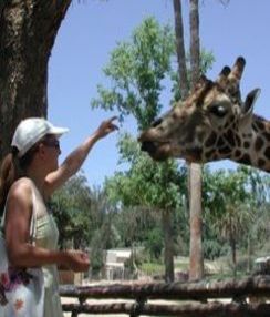 Englisch-Kurs in den USA | Englisch lernen in San Diego | Sprachschule San Diego