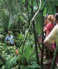 Spanisch-Kurs in Costa Rica | Spanisch lernen in San José / Coronado | Sprachschule San José / Coronado