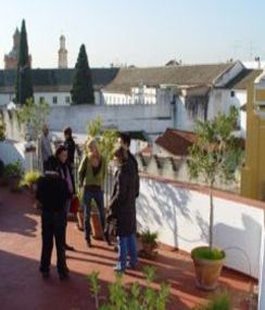 Corsi di spagnolo a Siviglia | apprendere Spagnolo a Siviglia | Scuola di lingue Siviglia
