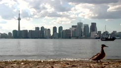 LSI Toronto