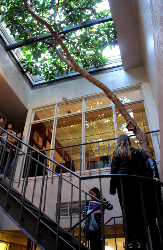 Berkeley_Interior_Courtyard_With Spiral_Staircase