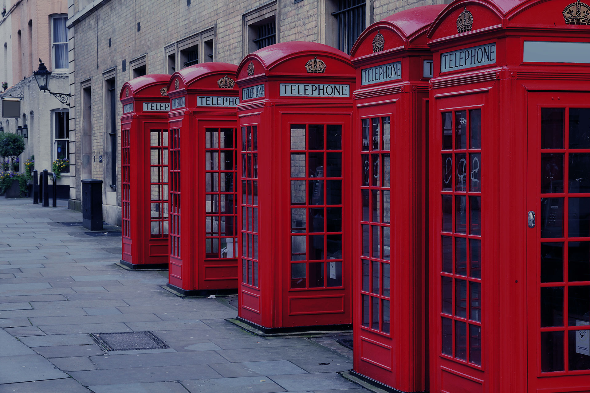 LSI London Hampstead - Junior - 10