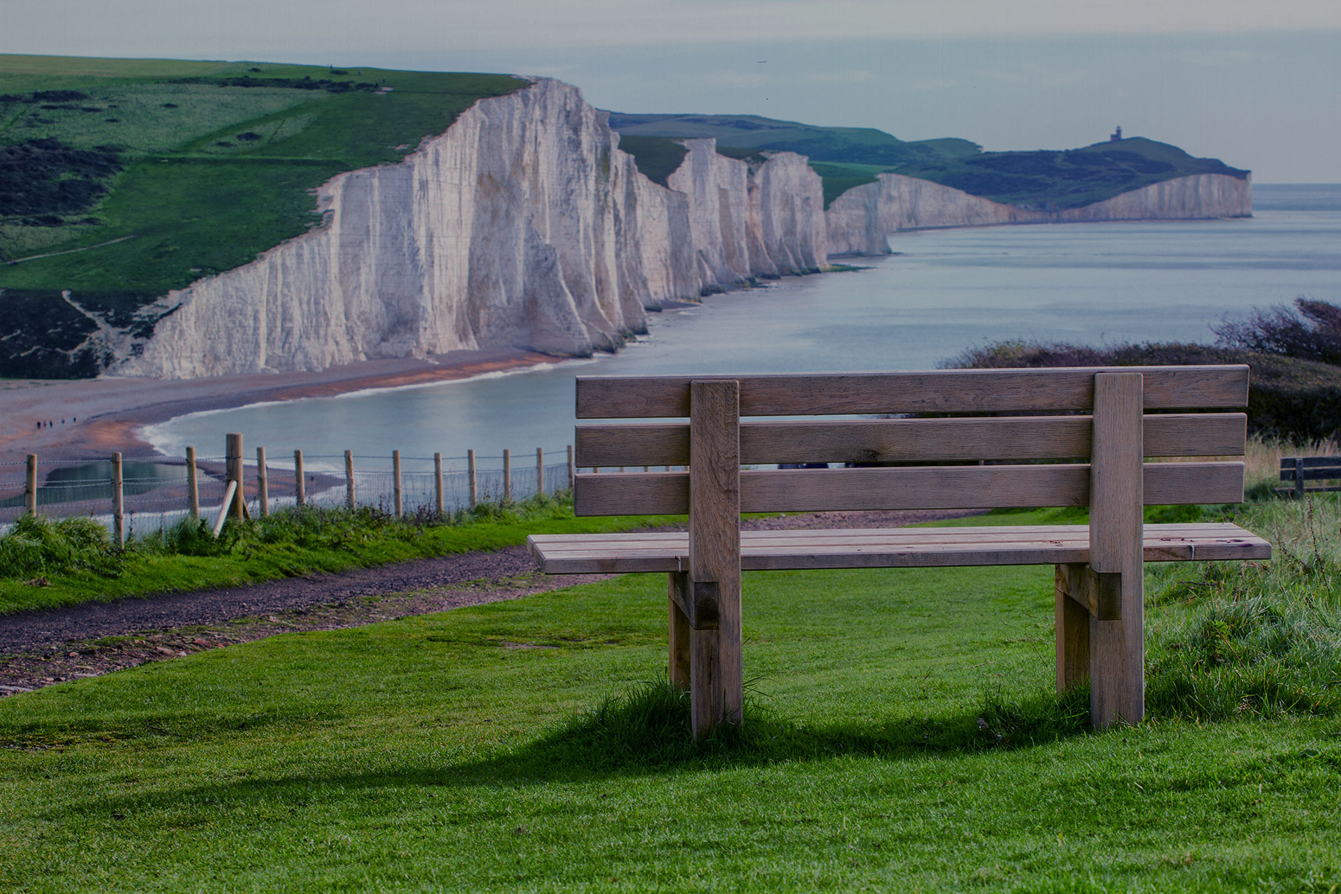 LSI Brighton - Junior - 9