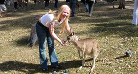 Besuch im Lone Pine Koala-Reservat