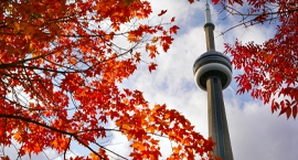 Toronto