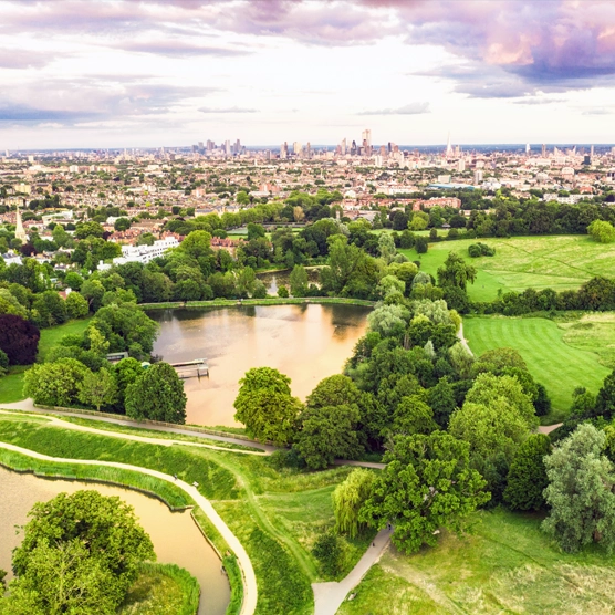 London Hampstead