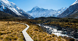 Study English in <br> New Zealand