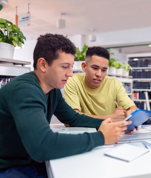 Students studying together