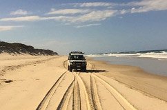 Safari no Acampamento em Fraser Island