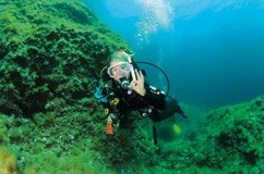 Excursion &agrave; la Grande Barri&egrave;re de corail