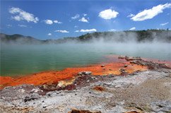 Passeio para Rotorua, as cavernas Waitomo e Taupo